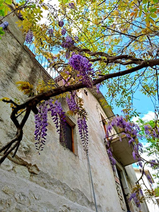 Ai Limiti • 67 • Stonehouse Guest House Palombaro Exterior foto