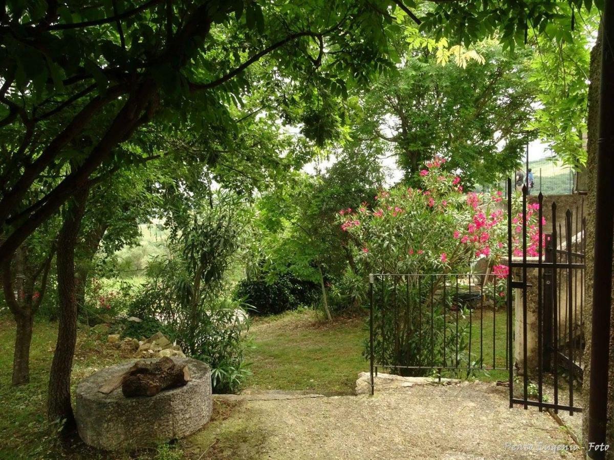 Ai Limiti • 67 • Stonehouse Guest House Palombaro Exterior foto
